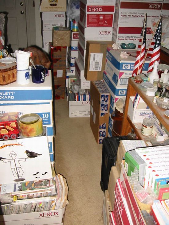 What the passion to the online auctions can bring to (54 pics)