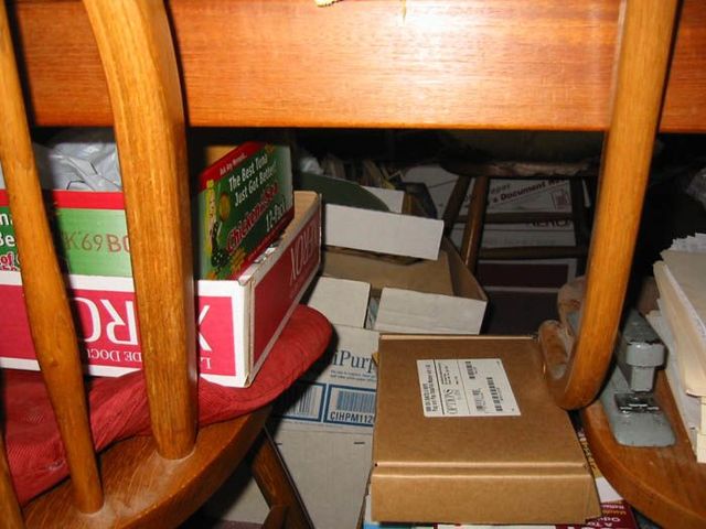 What the passion to the online auctions can bring to (54 pics)