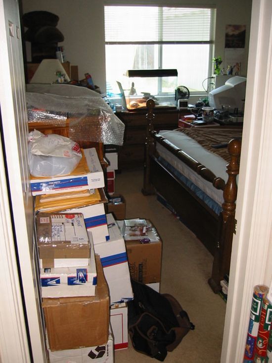 What the passion to the online auctions can bring to (54 pics)