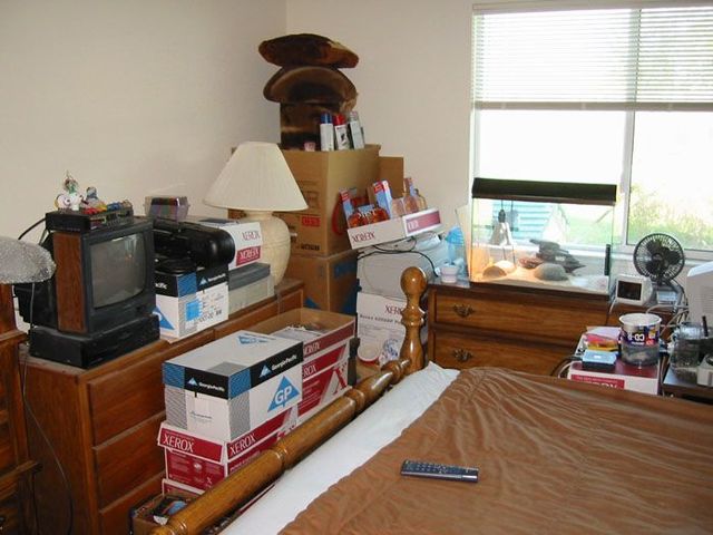 What the passion to the online auctions can bring to (54 pics)