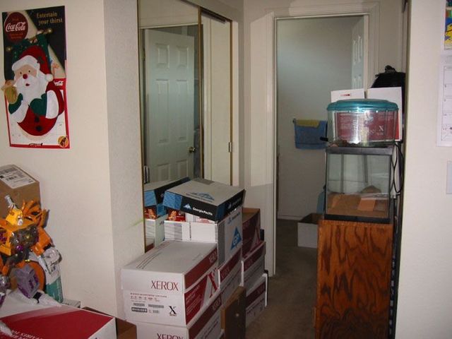 What the passion to the online auctions can bring to (54 pics)