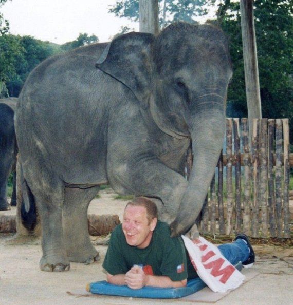 Daily picdump (99 pics)