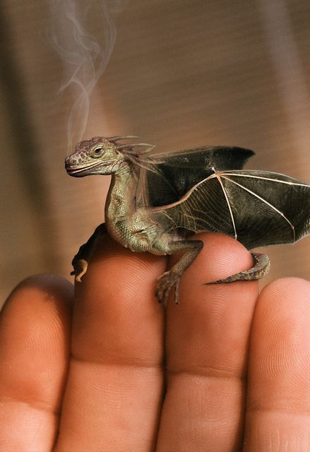 Daily picdump (99 pics)