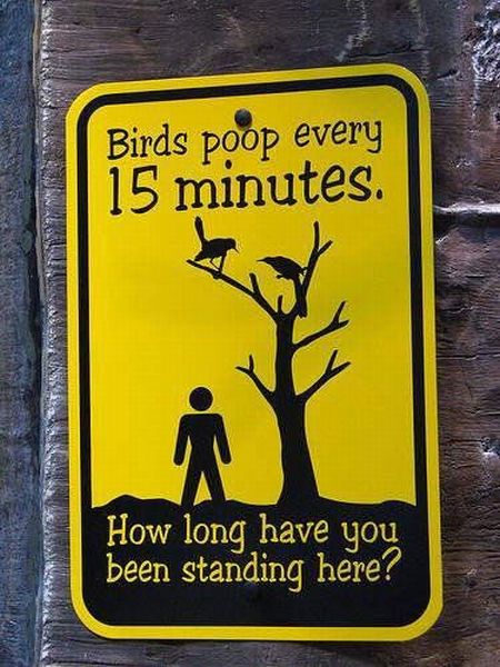 Daily picdump (99 pics)