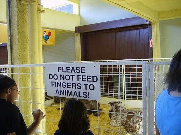 Daily picdump (99 pics)