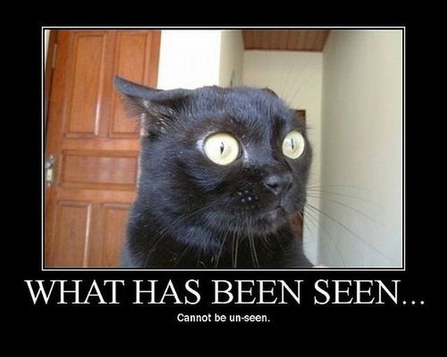 Daily picdump (99 pics)