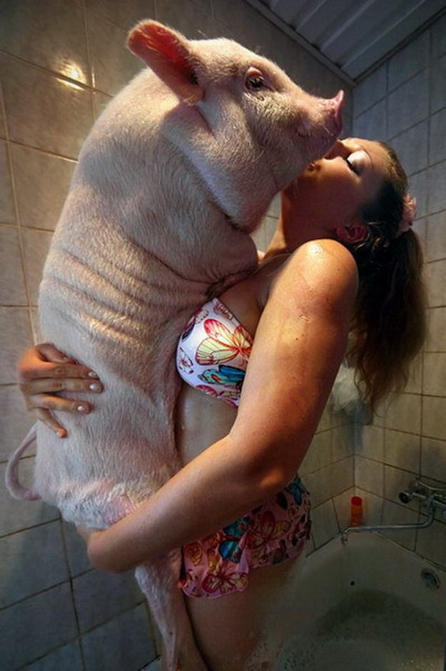 Daily picdump (99 pics)