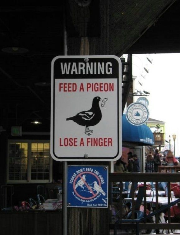 Daily picdump (99 pics)