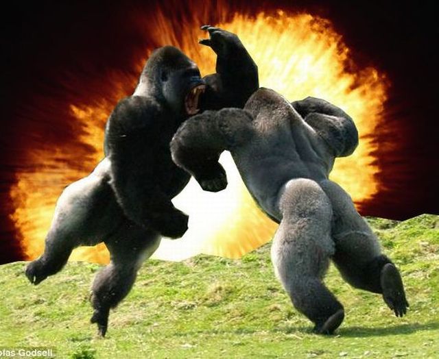 Daily picdump (99 pics)