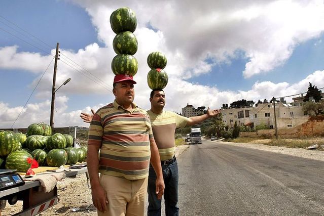 Daily picdump (115 pics)
