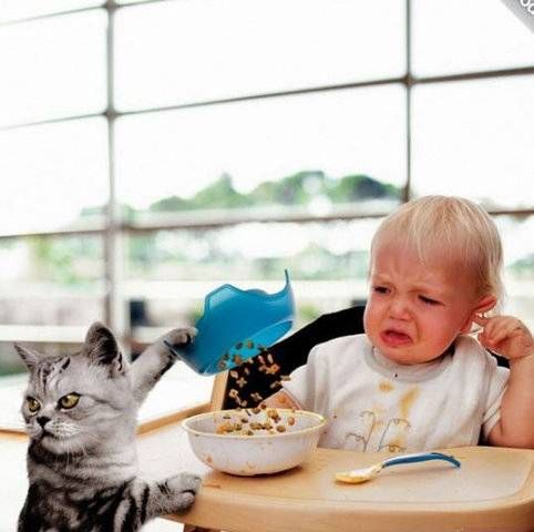 Daily picdump (115 pics)