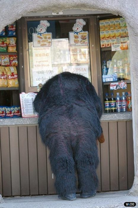 Daily picdump (115 pics)