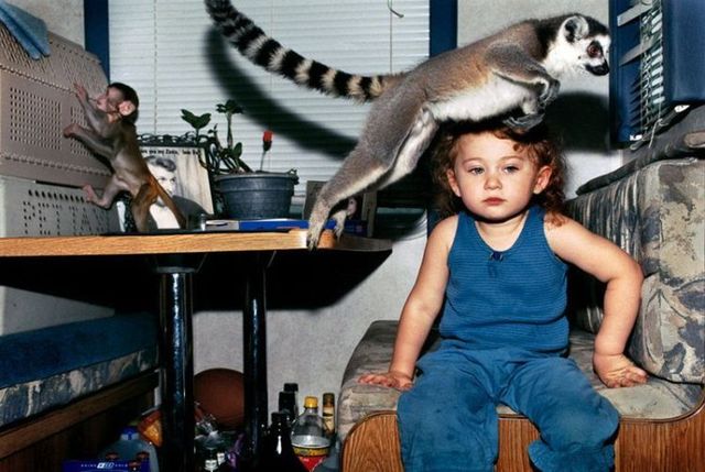 Daily picdump (115 pics)