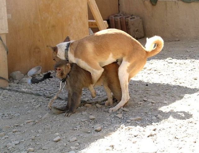 Daily picdump (115 pics)