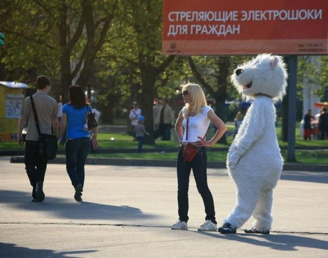Daily picdump (115 pics)
