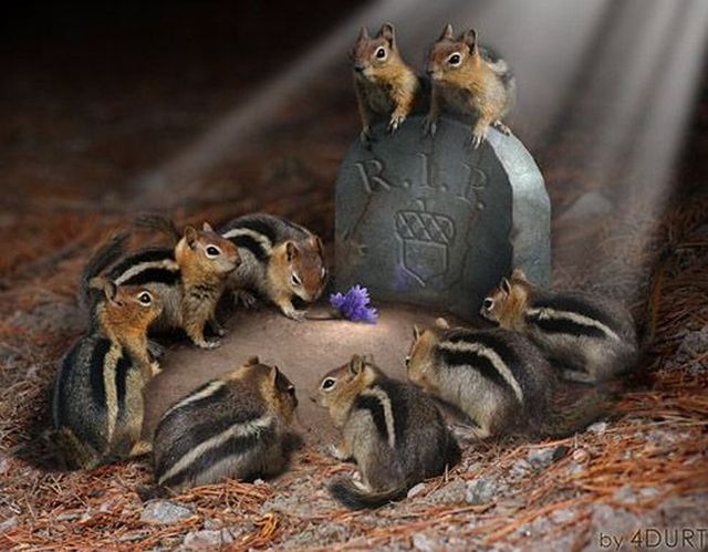 Daily picdump (115 pics)