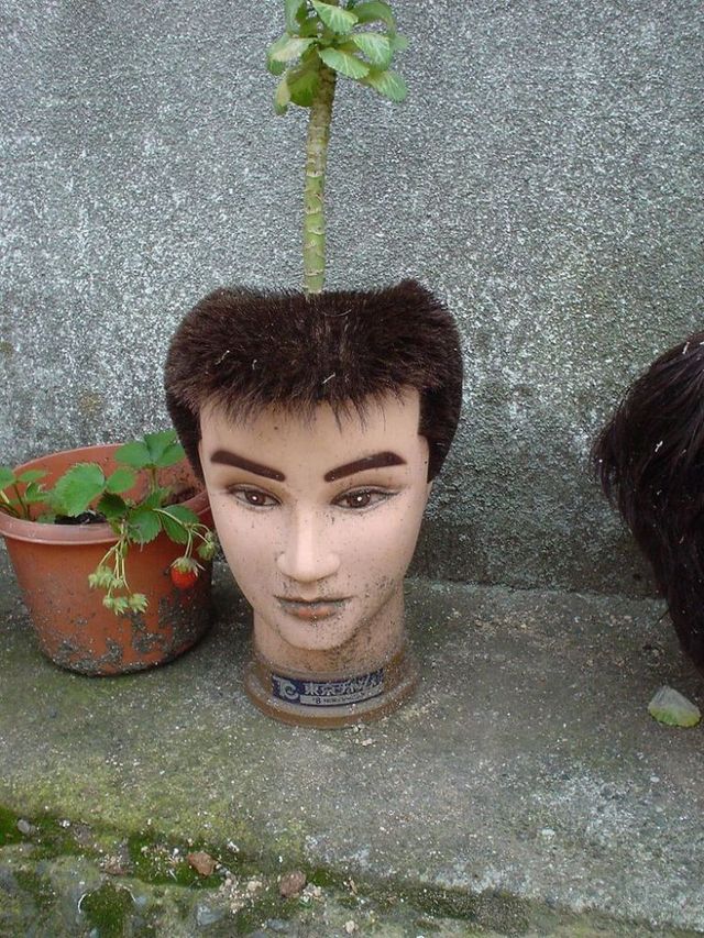 Daily picdump (115 pics)