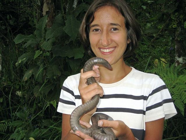 Ecuador worm (14 pics)