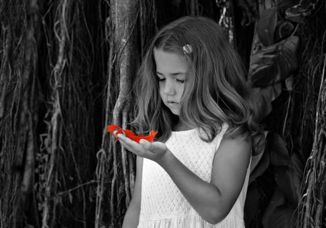Positive selection with children (20 pics)