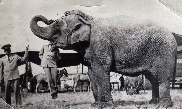 History remembers everything (94 pics)