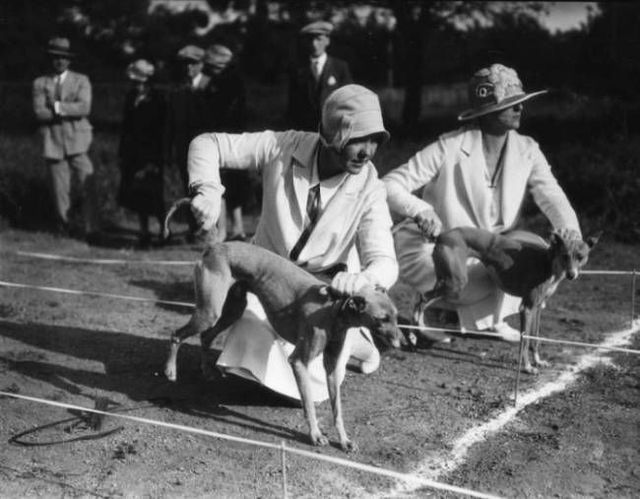History remembers everything (94 pics)