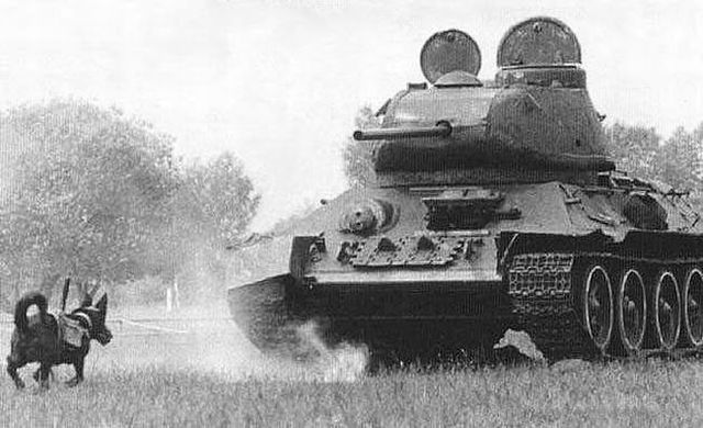 History remembers everything (94 pics)