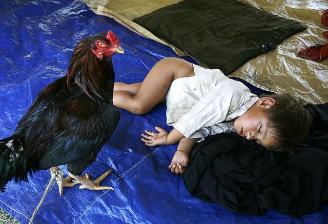 Daily picdump (113 pics)
