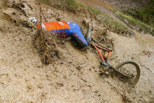 Daily picdump (113 pics)