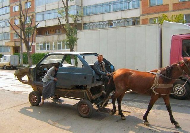 Daily picdump (113 pics)