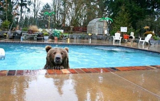 Daily picdump (113 pics)