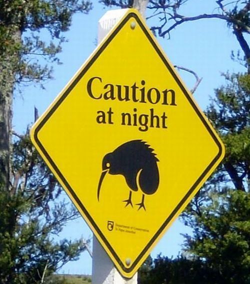 Daily picdump (113 pics)