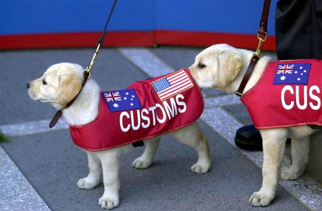 Daily picdump (113 pics)