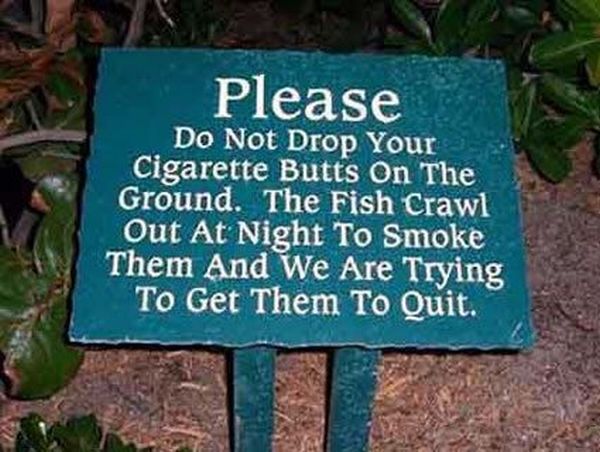 Daily picdump (96 pics)