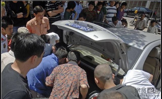 Bad surprise in the car (11 photos)