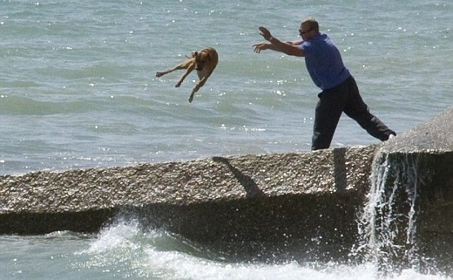 Shocking pictures of men mistreating his dogs  7 pics
