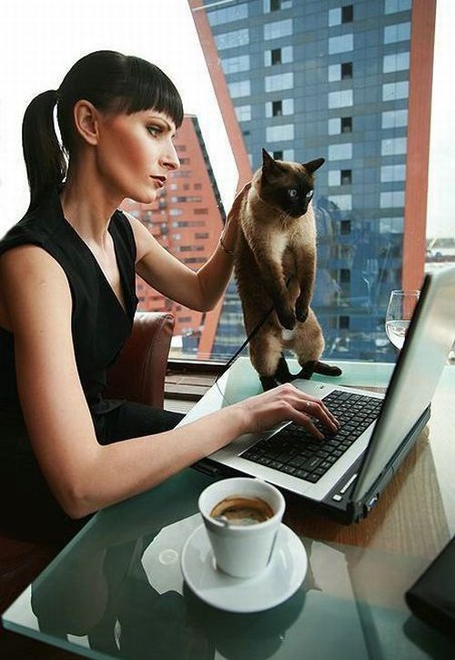 Daily picdump (129 pics)