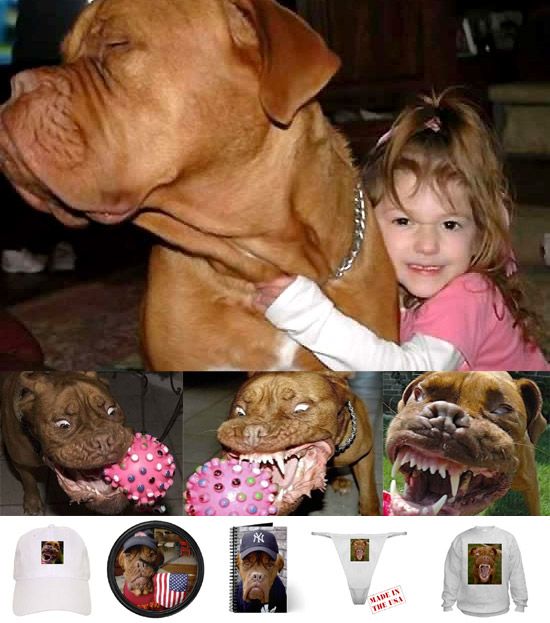 Daily picdump (129 pics)