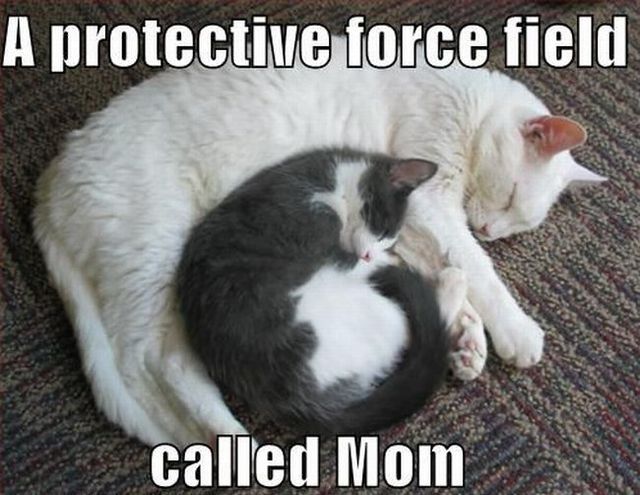 Daily picdump (129 pics)