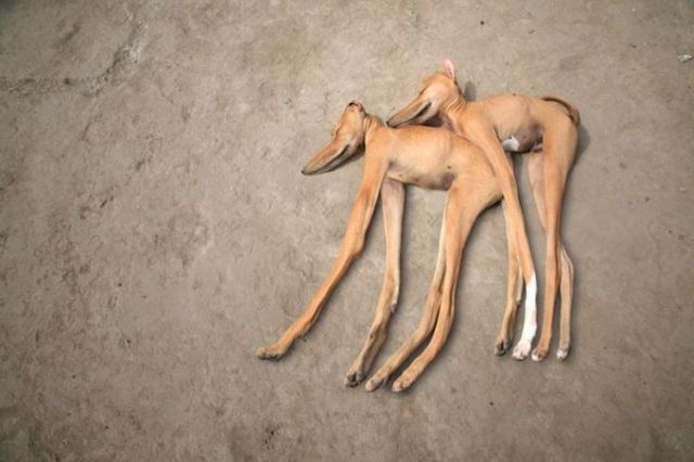 Daily picdump (129 pics)