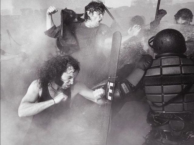 Great photo moment (19 pics)