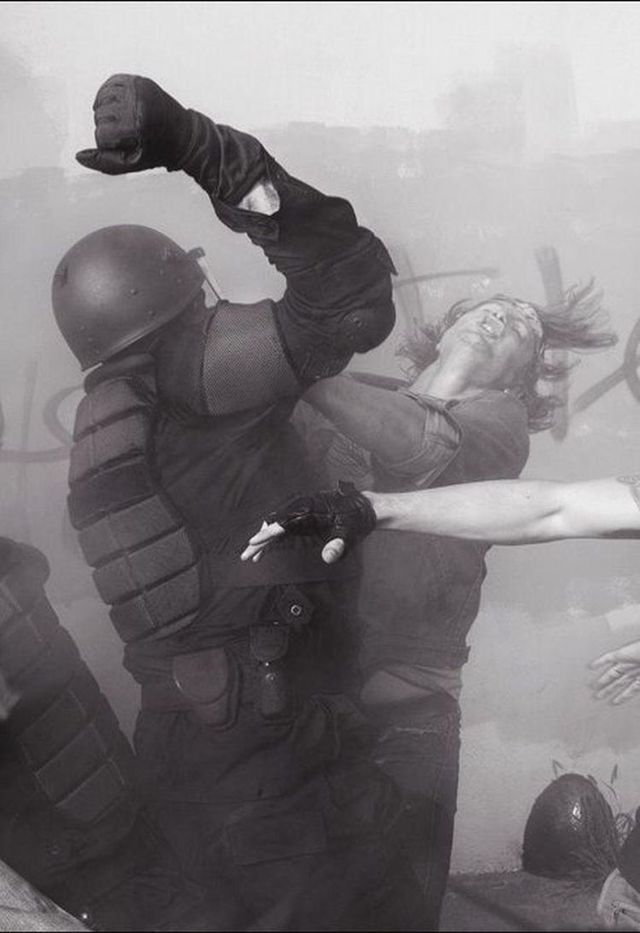 Great photo moment (19 pics)