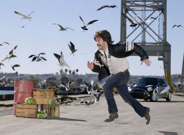 Great photo moment (19 pics)