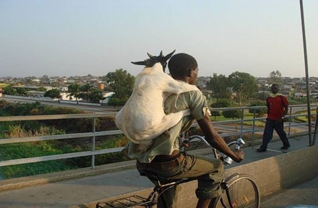 Daily picdump (132 pics)