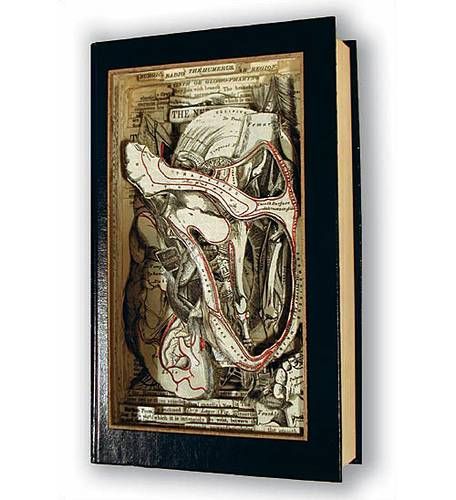 “Book autopsies” - 3 dimensional book art by Brian Dettmer (10 pics)