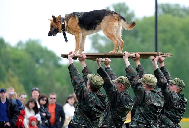 Daily picdump (124 pics)