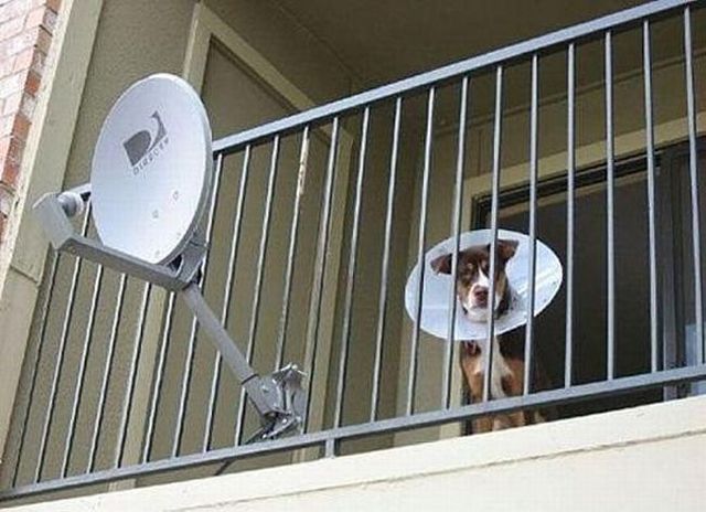 Daily picdump (124 pics)