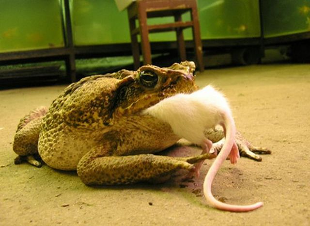 Daily picdump (124 pics)