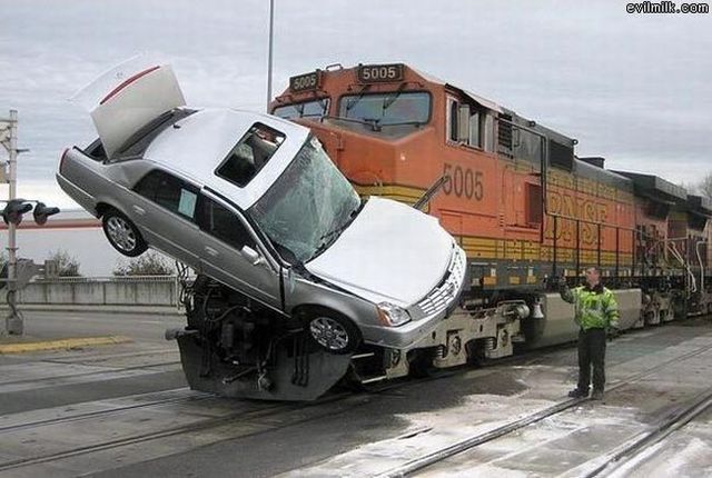 Daily picdump (124 pics)