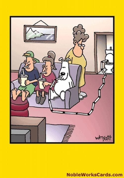Daily picdump (124 pics)
