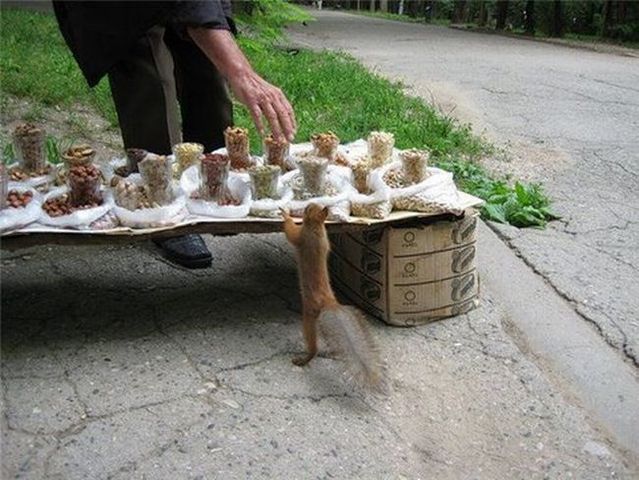 Daily picdump (124 pics)